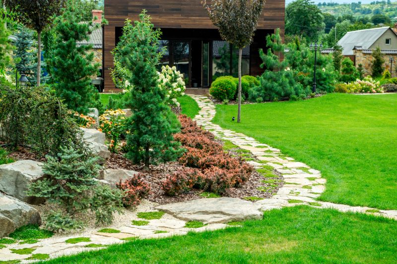 Lawn and Pathways