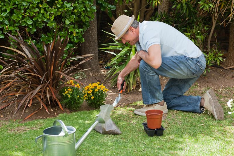 Products For English Garden Landscapings in use